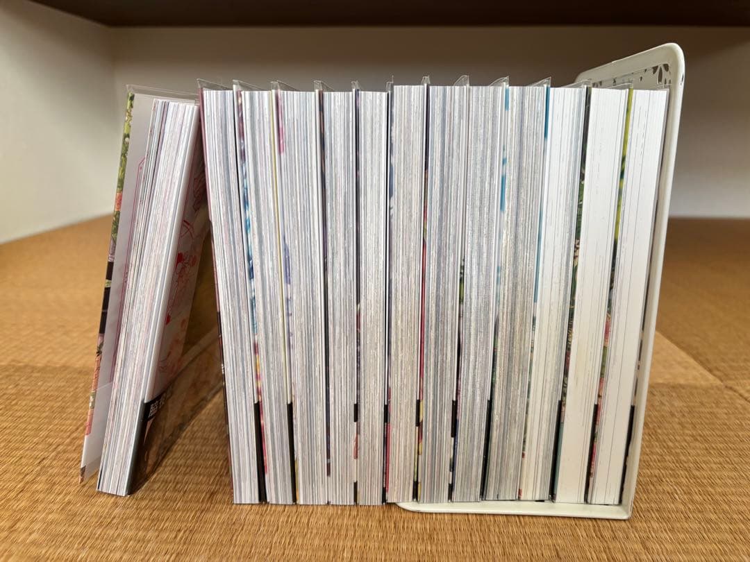 【本日まで】【特典付き】ある日、お姫様になってしまった件について　全14巻セット