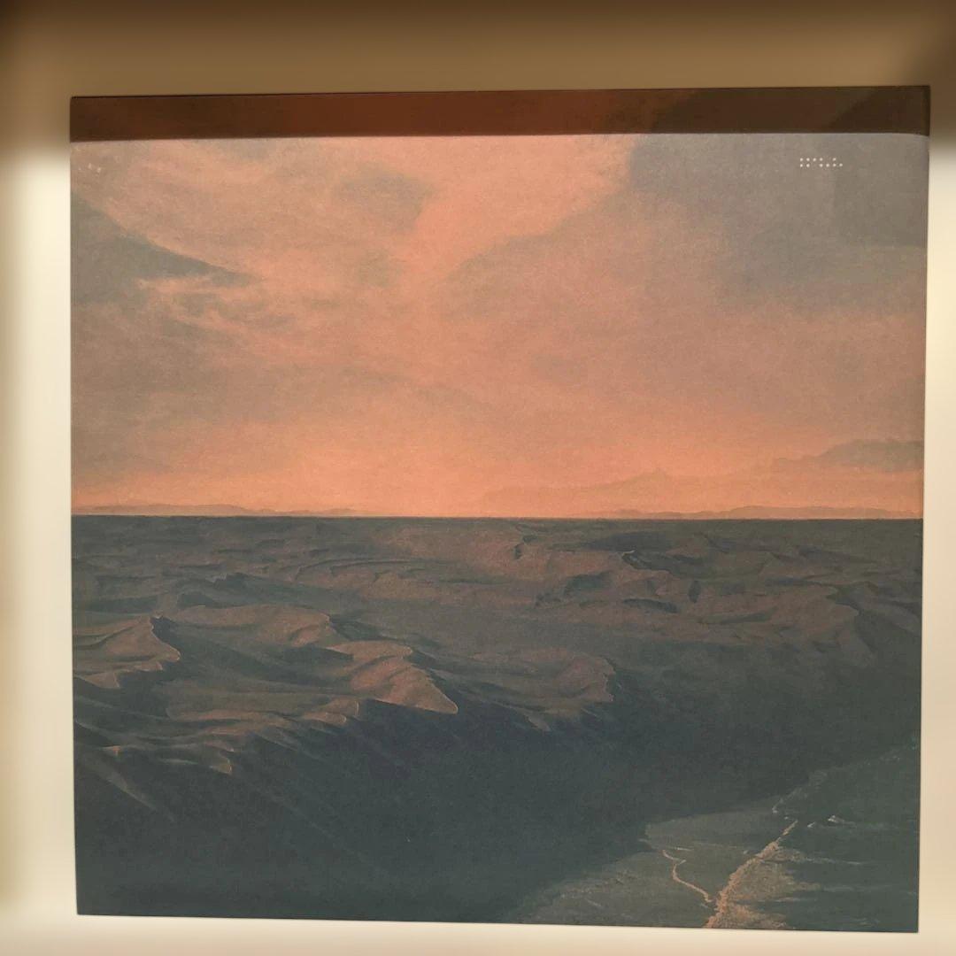 洋楽 Tycho Dive 2LP