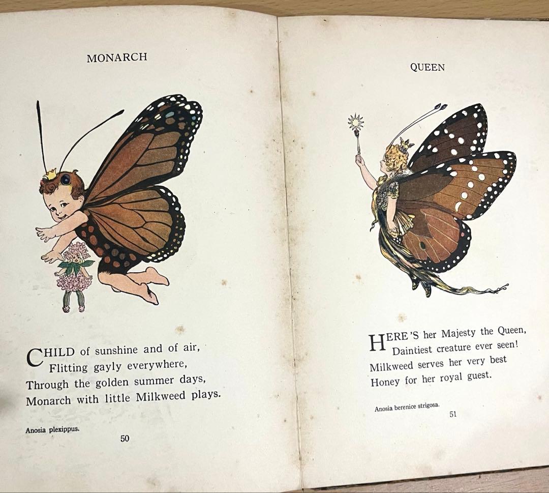 No301 超希少 激レア　アンティーク 古書 洋書 絵本 児童書 蝶 妖精