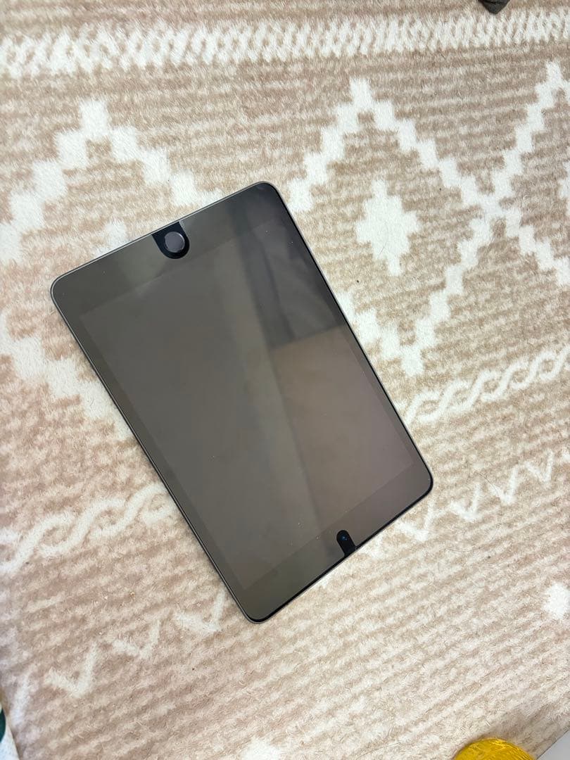 iPadmini5セルラー64GB 常時イヤホンモード（不具合）本体のみ88%