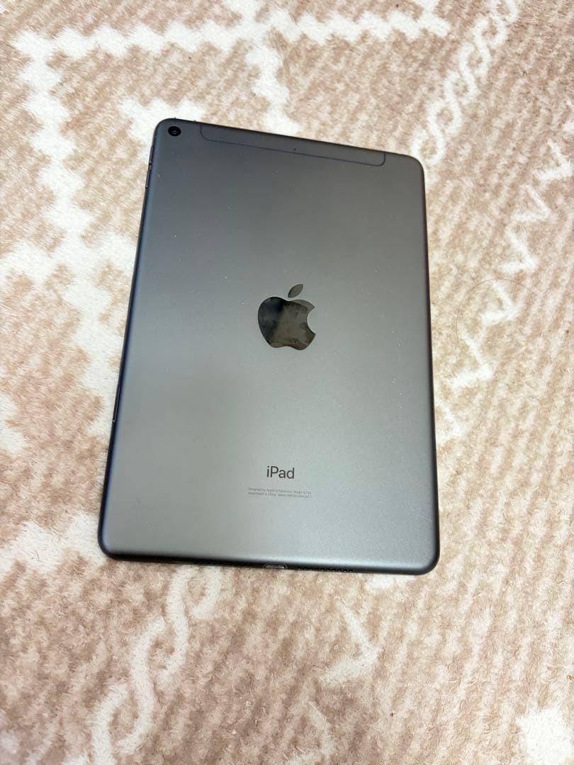 iPadmini5セルラー64GB 常時イヤホンモード（不具合）本体のみ88%