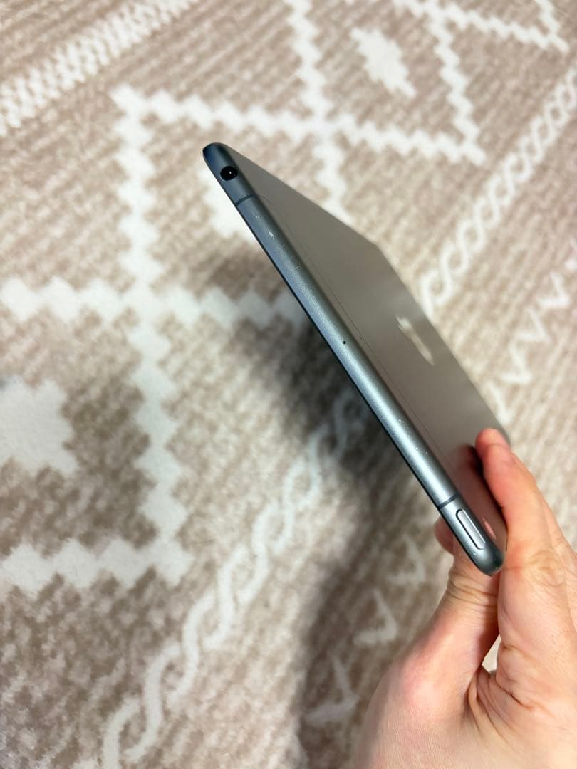 iPadmini5セルラー64GB 常時イヤホンモード（不具合）本体のみ88%
