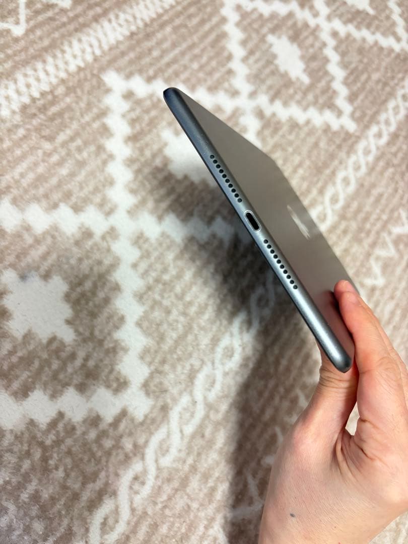 iPadmini5セルラー64GB 常時イヤホンモード（不具合）本体のみ88%