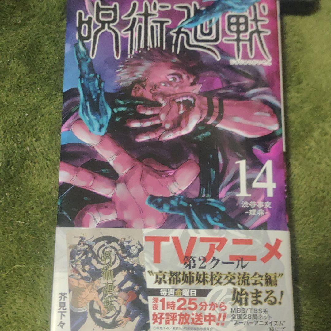 呪術廻戦 14
