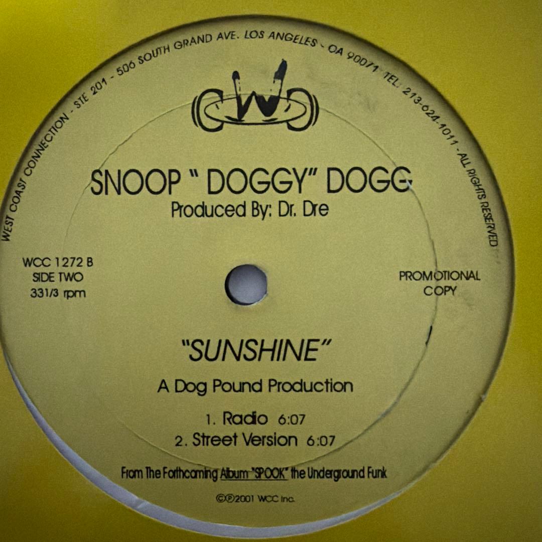 Snoop Dogg レコード6枚セットB-Please 他