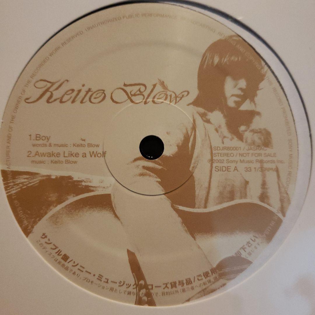 希少 Keito Blow 国内プロモ 非売品