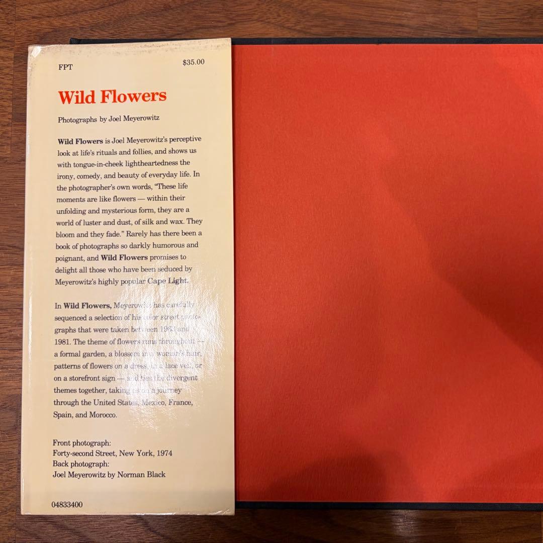 アート・デザイン・音楽 Joel Meyerowitz Wild Flowers