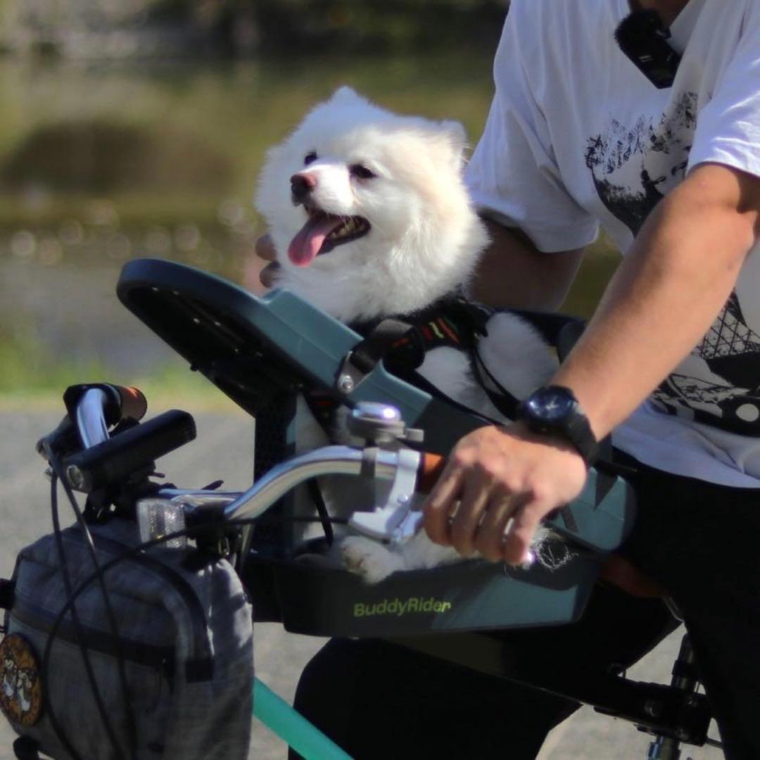 Buddy Rider バディーライダー　自転車用ペットシート